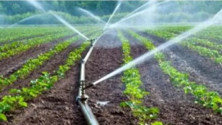 drip-and-sprinkler-irrigation