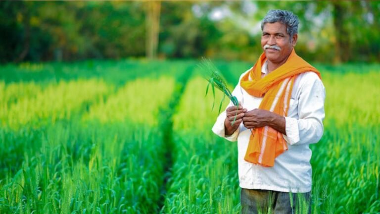 farmer-01-1024x576