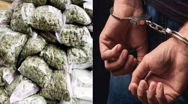 ganja