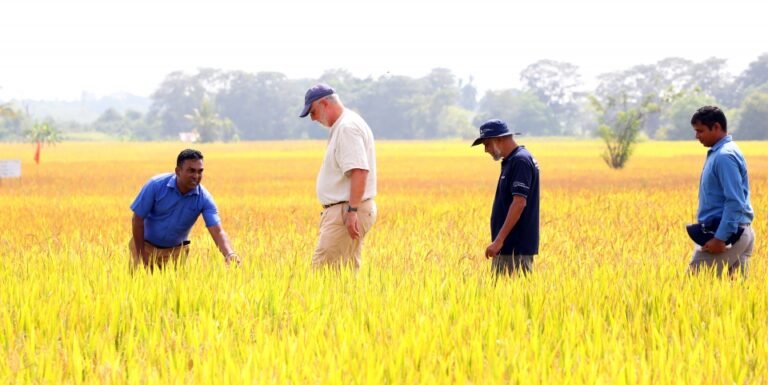 Yuva Agrifood Systems: