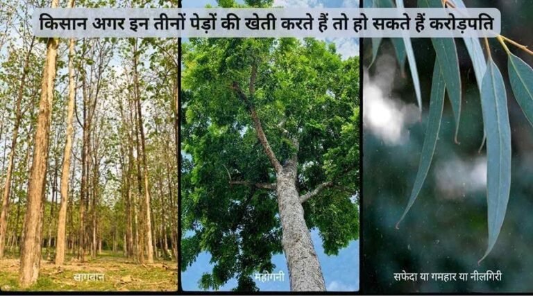 Tree Farming