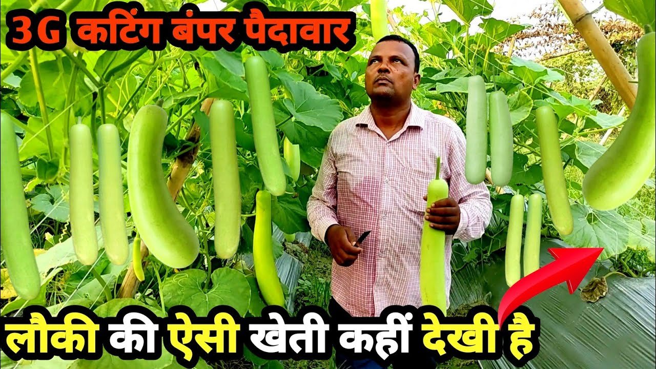 Machaan Method