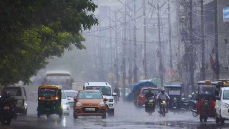 rain_5_A_39_2.jpg