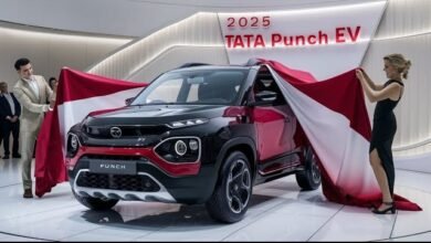 Tata Punch EV