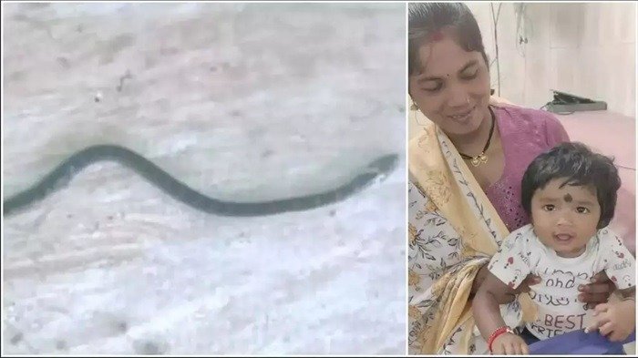 20250816135253_snake baby