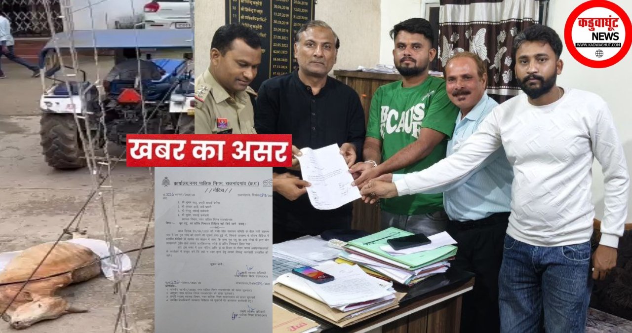 KADWAGHUT IMPACT_ खबर का असर – मृत पशु के मामले में लापरवाही, निगम ने जारी किया नोटिस, पूर्व पार्षद