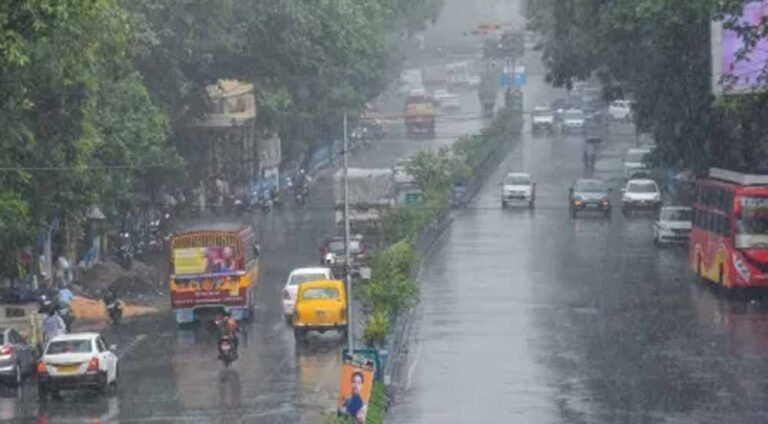 barish03.jpg