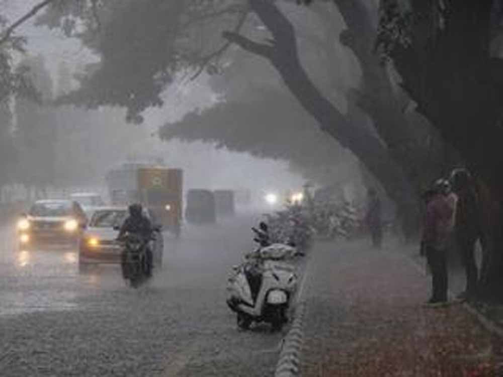 barish2-2.jpg