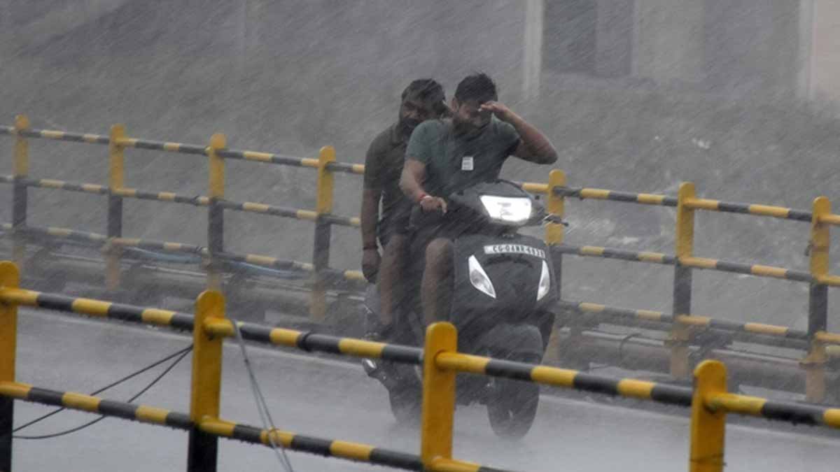barish2-6.jpg