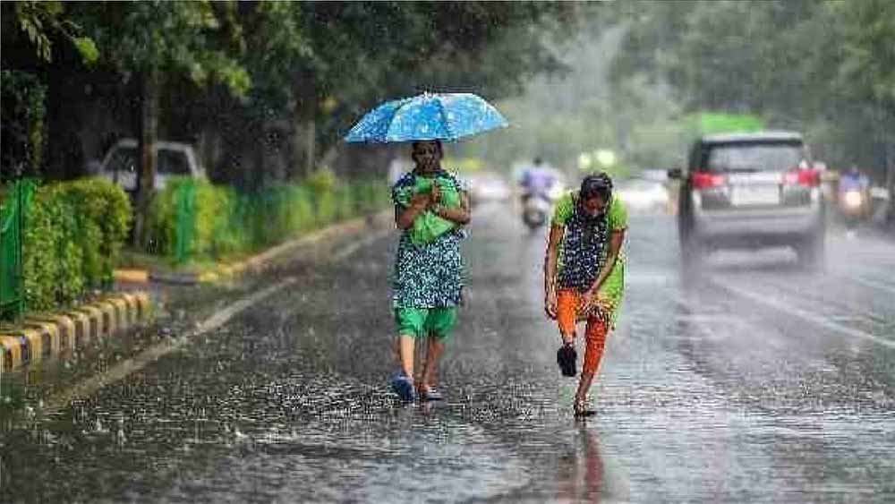 barish5.jpg