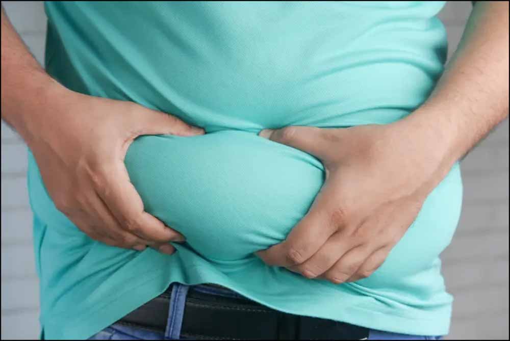 fat2.jpg