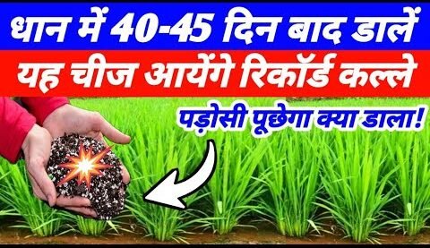 श्री विधि बड़ा काम