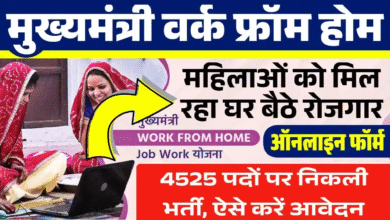 CM Work From Home Yojana 2025: घर से मिलेगा रोजगार, 8वीं-10वीं पास महिलाओं के लिए 4525 पदों पर भर्ती