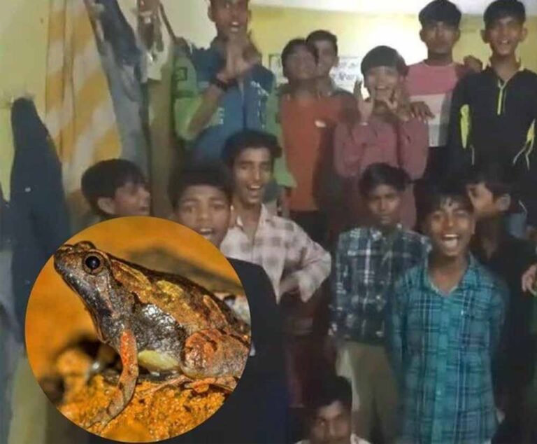 medhak2.jpg