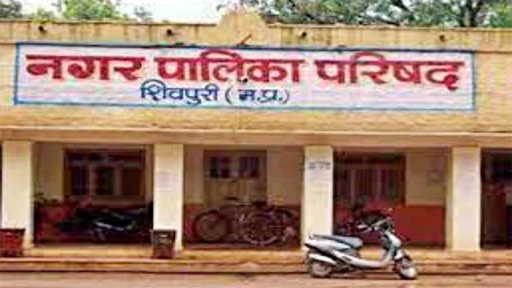 nagar.jpg