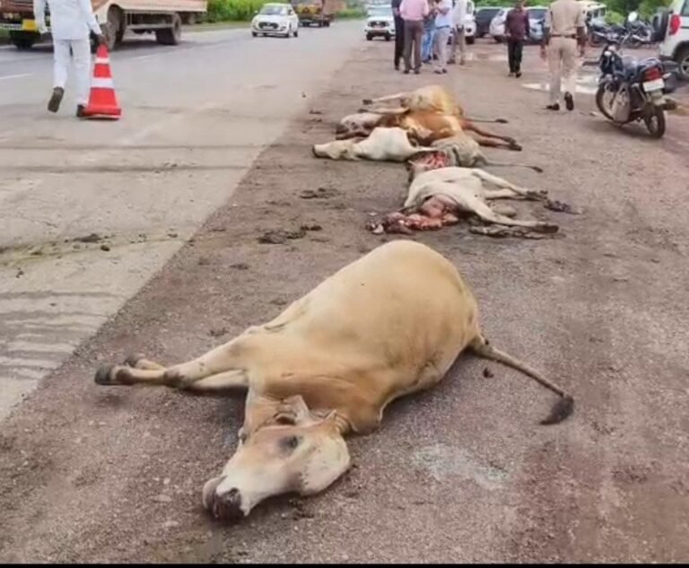 9 मवेशियों की दर्दनाक मौत