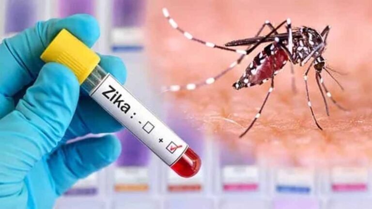 zika2.jpg