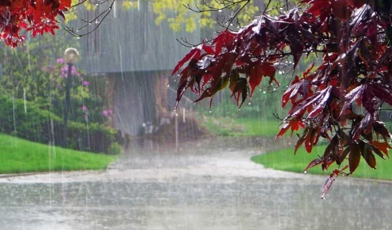 143236-monsoon-season
