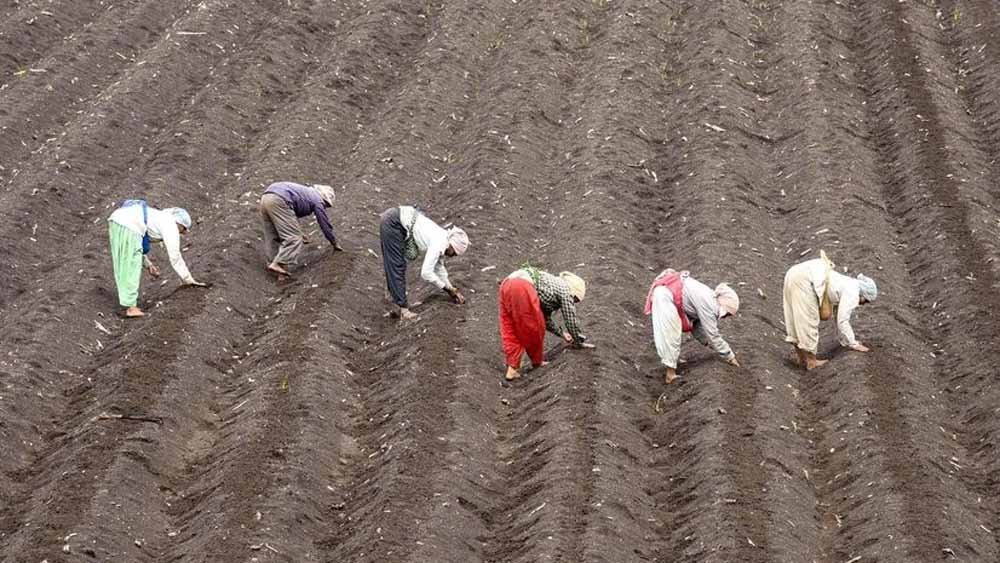 kisan2-2.jpg