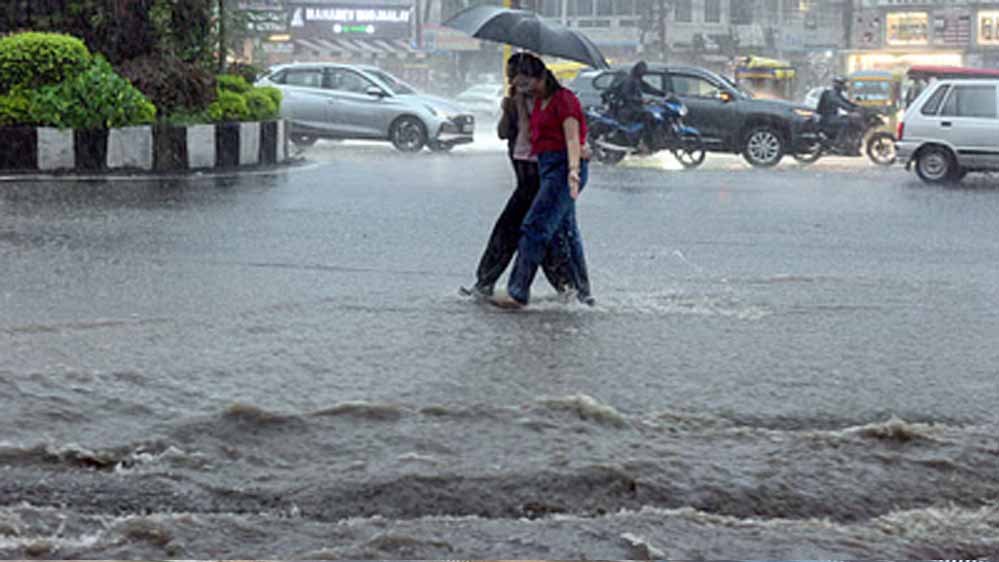 rain_4A_82_1-1.jpg